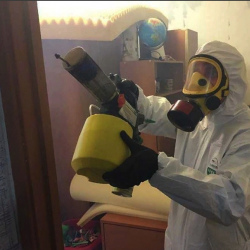 Уничтожение клопов в квартире. Магадан